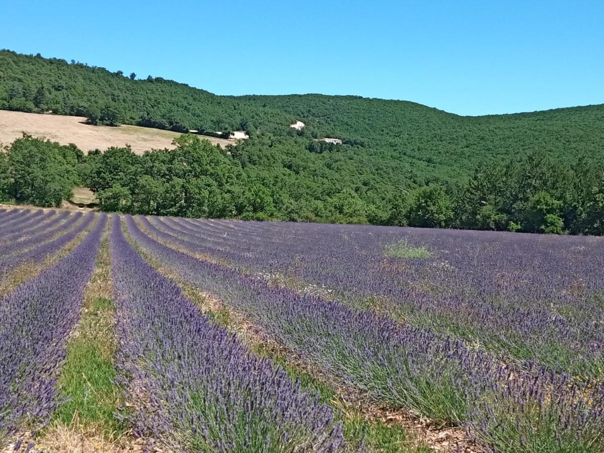 Gite Avec Piscine "La Maison De Valentine" En Provence Montsalier Экстерьер фото